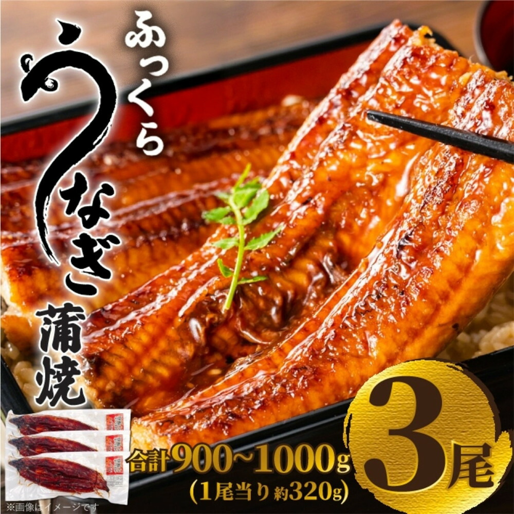 ふっくら大判うなぎ蒲焼 計約960g（約320g×3尾）