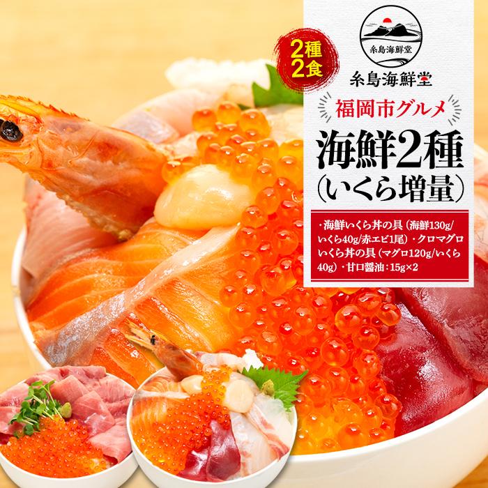 福岡市 グルメ 糸島海鮮堂の海鮮2種 (いくら増量) セット