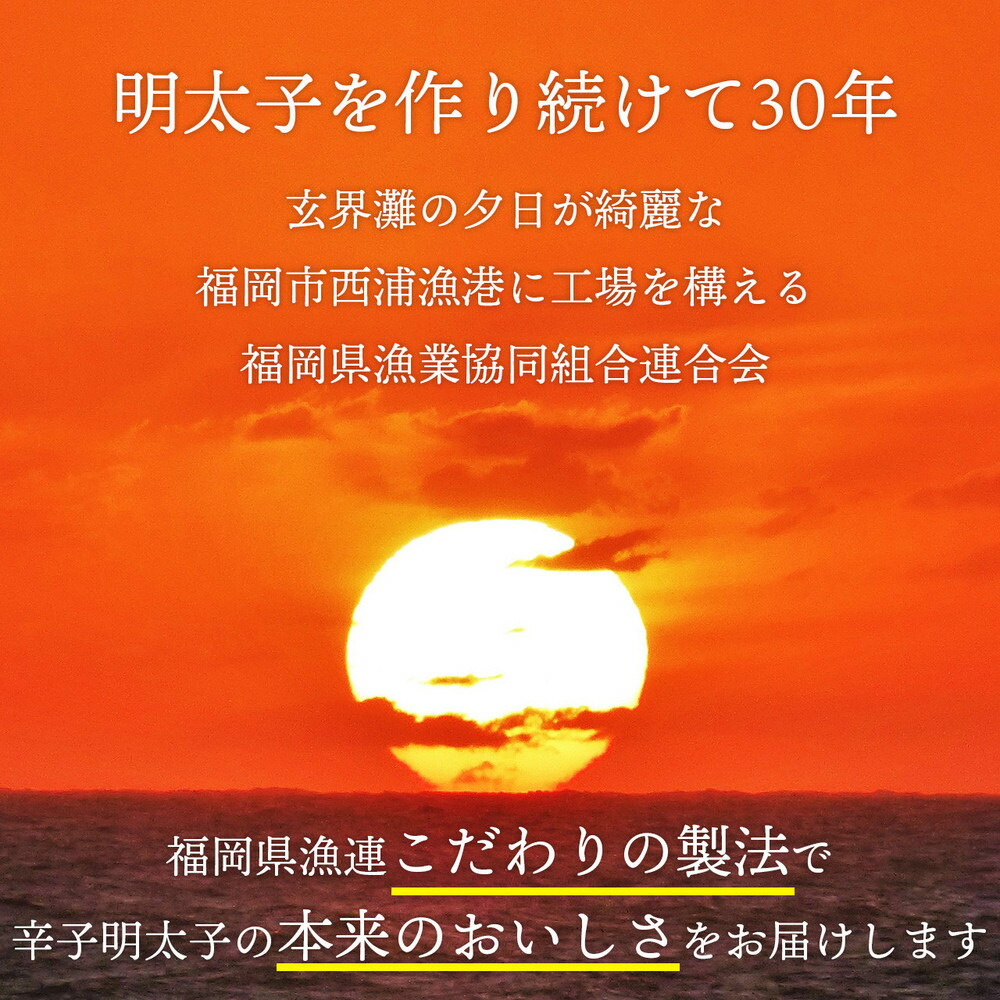 訳あり 辛子明太子 500g×2パック（1.0kg）