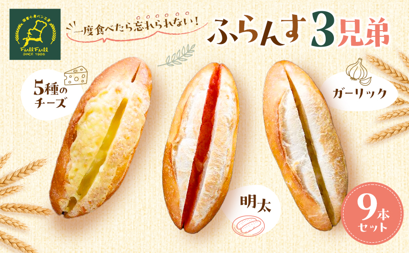 ふらんす3兄弟 9本 セット 詰め合わせ フランスパン チーズフランス 明太フランス ガーリックフランス 冷凍 フルフル 冷凍パン チーズ 明太 ガーリック お取り寄せ 博多グルメ パン 九州 博多 福岡市