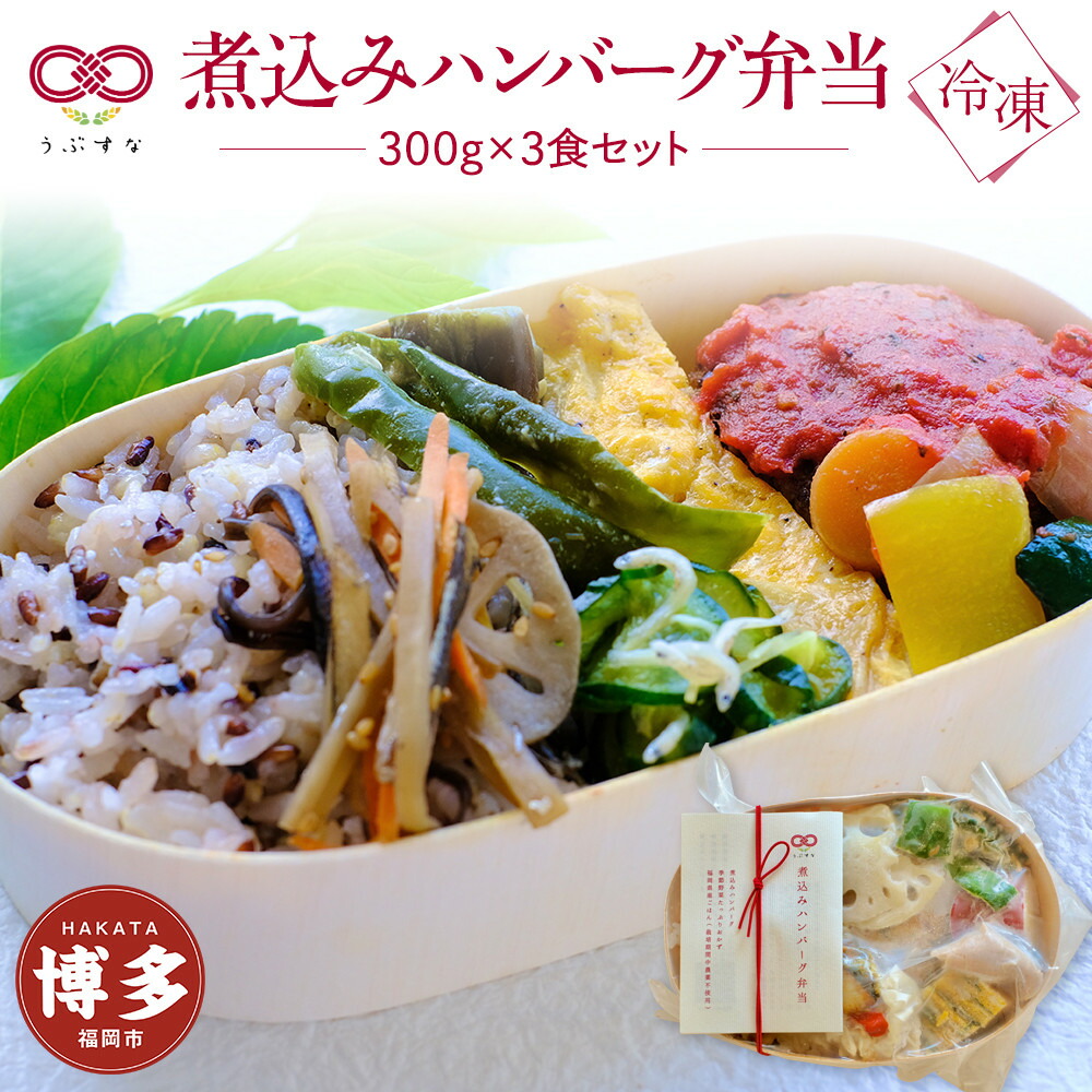 【冷凍】煮込みハンバーグ弁当3食セット　有機・特別栽培野菜　九州　福岡　国産食材