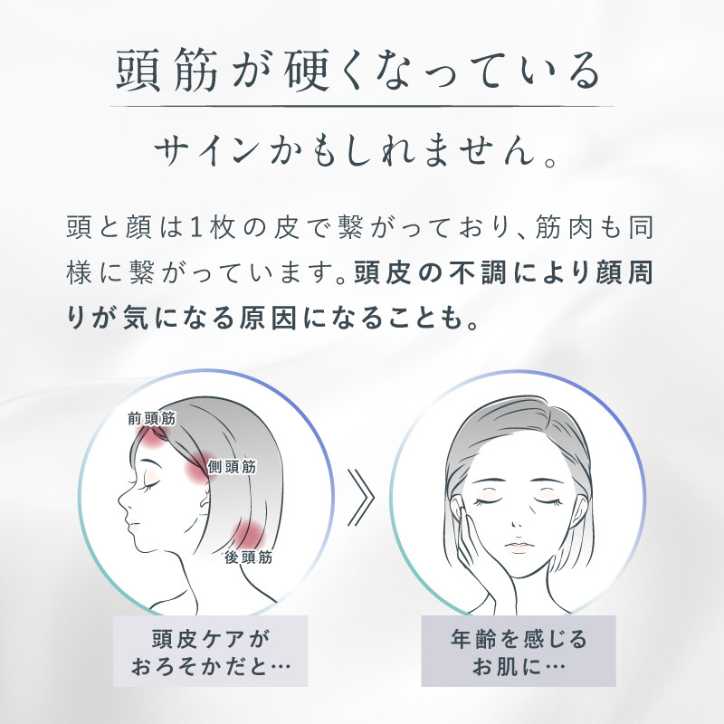 NIPLUX 鄒朱。泌勣 繝悶Λ繧キ蝙 繝ェ繝輔ヨ繧ア繧「 EMS LIFT BRUSH NP-ELB23SV 髮サ豌励ヶ繝ゥ繧キ 繝ェ繝輔ヨ繧「繝繝 鬆ュ逧ョ繧ア繧「 繧ケ繧ォ繝ォ繝 繝輔ぉ繧、繧ケ 繝懊ョ繧」 蜈ィ霄ォ 蠑輔″邱繧 繝ェ繝輔ヨ繝悶Λ繧キ 鬆ュ逧ョ繝槭ャ繧オ繝シ繧ク 繝倥ャ繝峨槭ャ繧オ繝シ繧ク 繝槭ャ繧オ繝シ繧ク