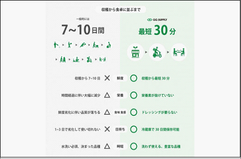 【2回定期便】常備野菜5種詰め合わせ│ドレッシング要らず 一ヶ月日持ち 洗わずそのまま 付け合わせ専用 ミディアムリーフ 5つ星ホテル採用