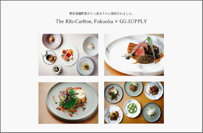 【2回定期便】常備野菜5種詰め合わせ│ドレッシング要らず 一ヶ月日持ち 洗わずそのまま 付け合わせ専用 ミディアムリーフ 5つ星ホテル採用