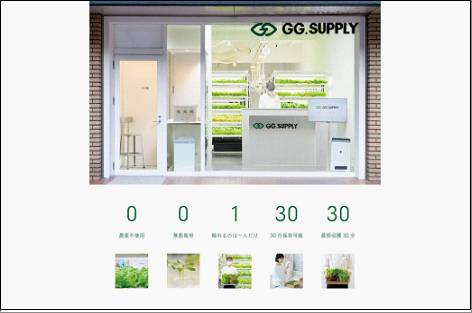 常備野菜5種詰め合わせ│ドレッシング要らず 一ヶ月日持ち 洗わずそのまま 付け合わせ専用 ミディアムリーフ 5つ星ホテル採用