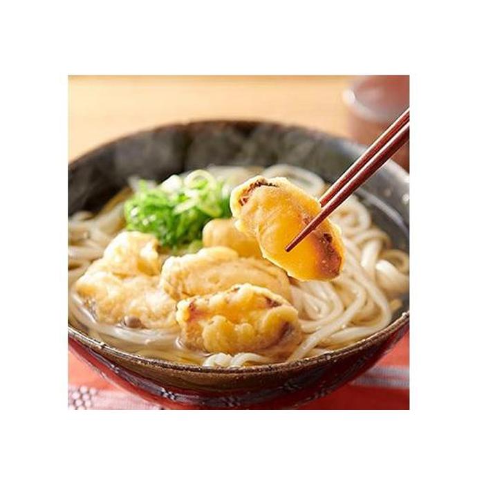 博多ごぼう天うどん　10食セット