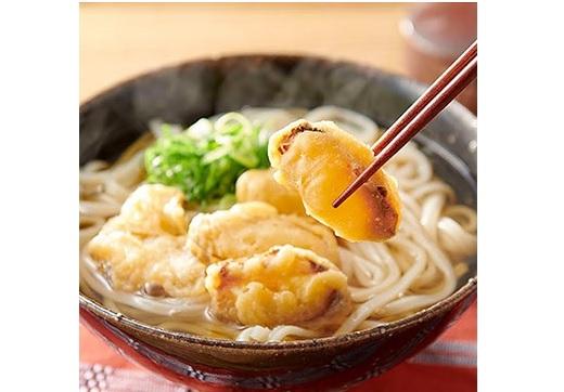 博多ごぼう天うどん　10食セット
