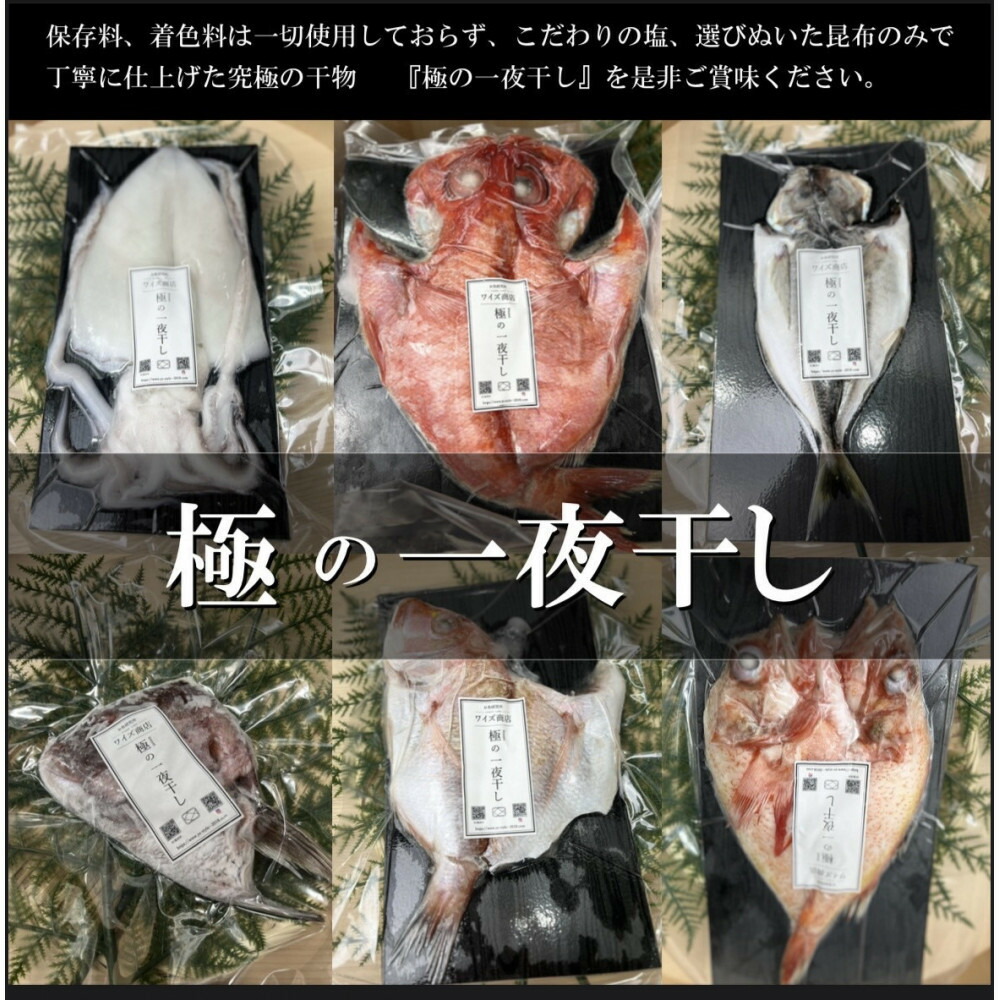 ワイズ商店の一夜干し旬魚４種とおすすめ商品詰め合わせBセット
