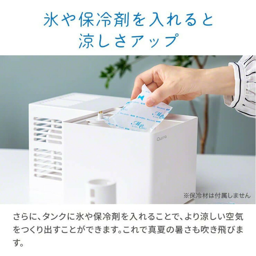 縲寝urra縲 蜀キ鬚ィ謇 縺縺、繧ゅΑ繧ケ繝 繝帙Ρ繧、繝 縲1蟷エ髢謎ソ晁ィシ縲 3R-TCF08WT