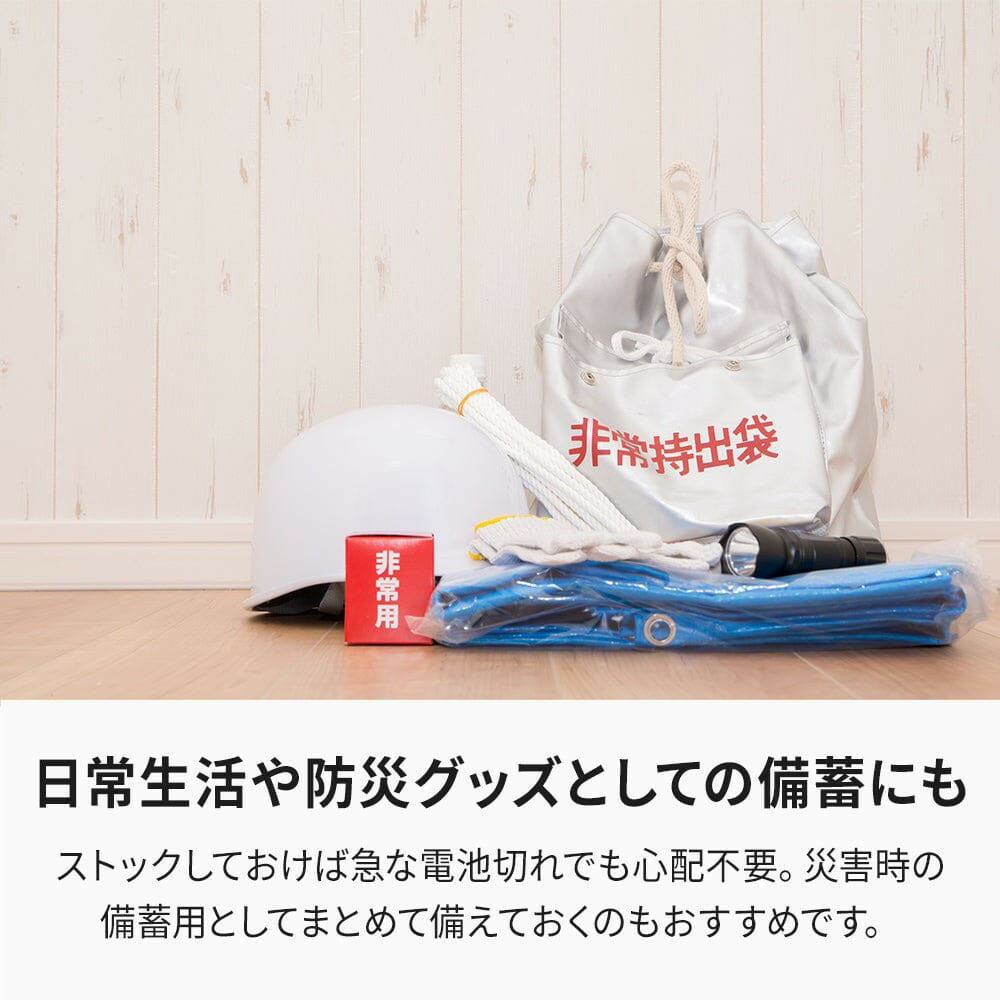 【enevolt】 エネボルト Basic アルカリ乾電池 単3形 24本セット 【2年間保証】 SET-EVA324