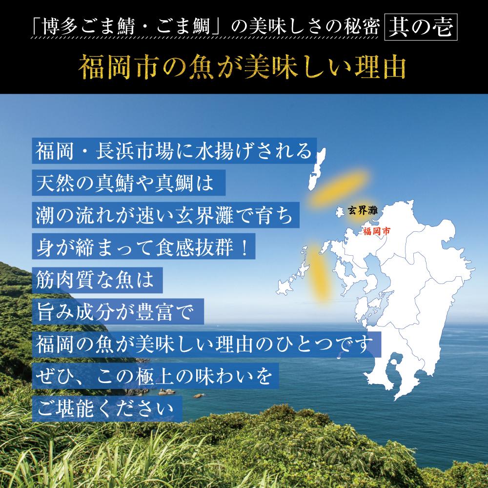 蜊壼、壼錐迚ゥ 縺斐∪魃 縺斐∪魃 2遞ョ 鬟溘∋豈斐∋ 蜷4繝代ャ繧ッ 繧サ繝繝 隧ー繧∝粋繧上○ 髟キ豬懷クょエ豌エ謠壹£ 蟆丞縺 螟ゥ辟カ 縺斐∪縺輔ー 魃 魃 逵滄ッ 逵滄ッ 髟キ豬懷クょエ 蛻コ霄ォ 闌カ貍ャ縺 豬キ魄ョ 縺願幻貍ャ縺 縺願幻貍ャ縺代ョ邏 蜃コ豎∬幻貍ャ縺 諠」闖 縺秘」ッ縺ョ縺贋セ 縺翫▽縺セ縺ソ 縺、縺セ縺ソ 驟偵ョ縺、縺セ縺ソ 蜊壼、 遖丞イ。蟶