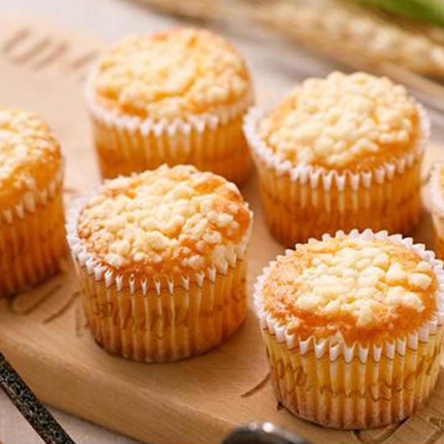 博多塩チーズケーキ（16個入り）