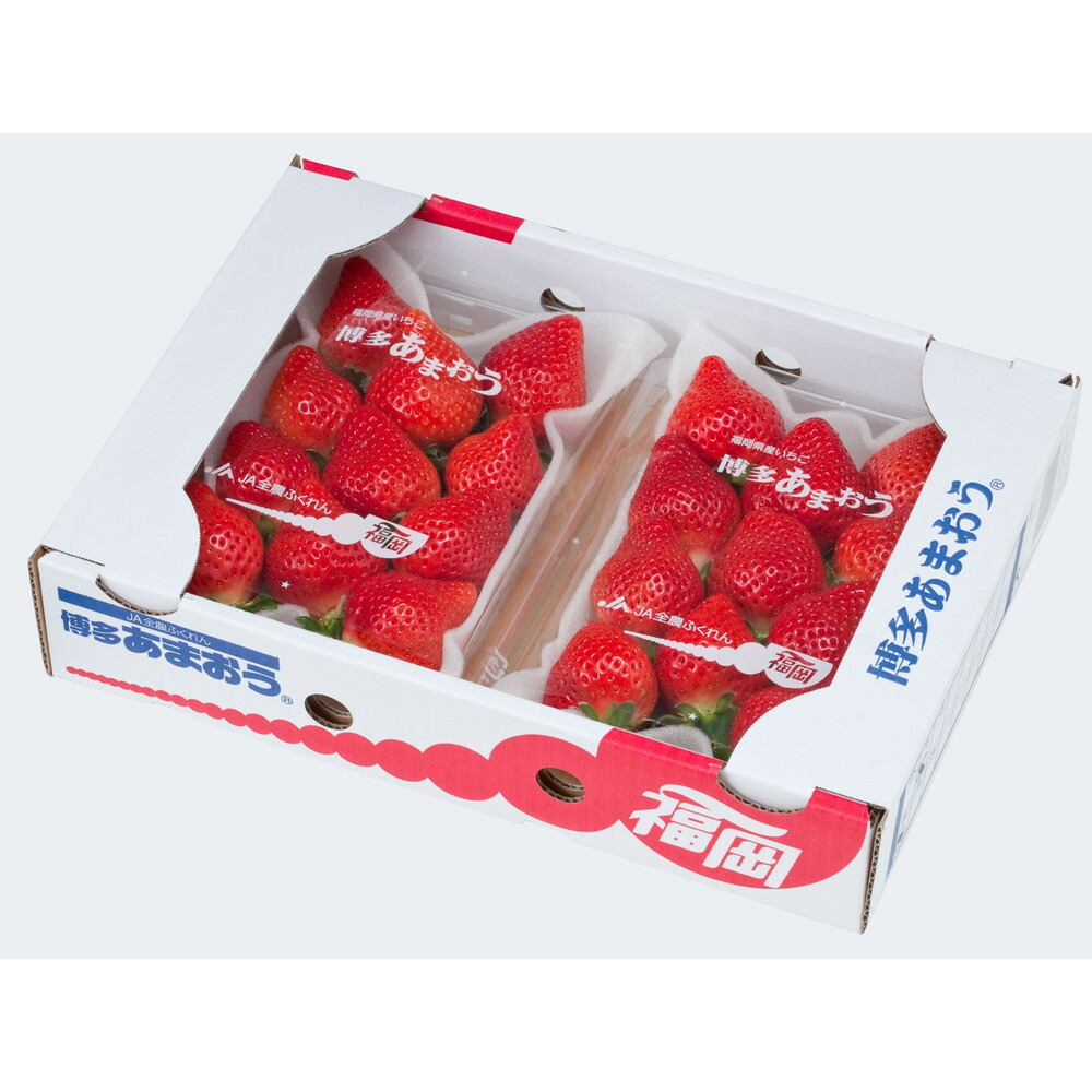 ＜2027年3月～4月発送＞博多あまおう 約250g×8