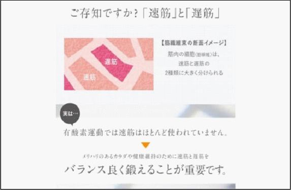 【福岡市】MYTREX W FIT ACTIVE