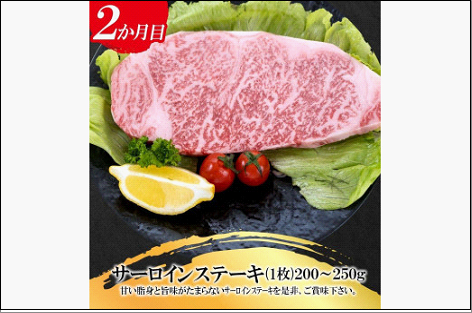 福岡県産 黒毛和牛A4ランク以上の博多和牛！ 3か月定期便 Bコース