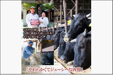 福岡県産 黒毛和牛A4ランク以上の博多和牛！ 3か月定期便 Bコース