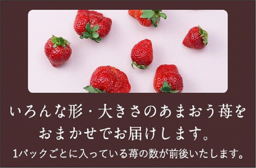 ãã«ãŒããœã ãªãšãéžãã çŠå²¡åžç£æ¥ããŸãã6ããã¯â»2025幎2æäžæ¬ãã2025幎3æäžæ¬ã«ãããŠé 次çºé