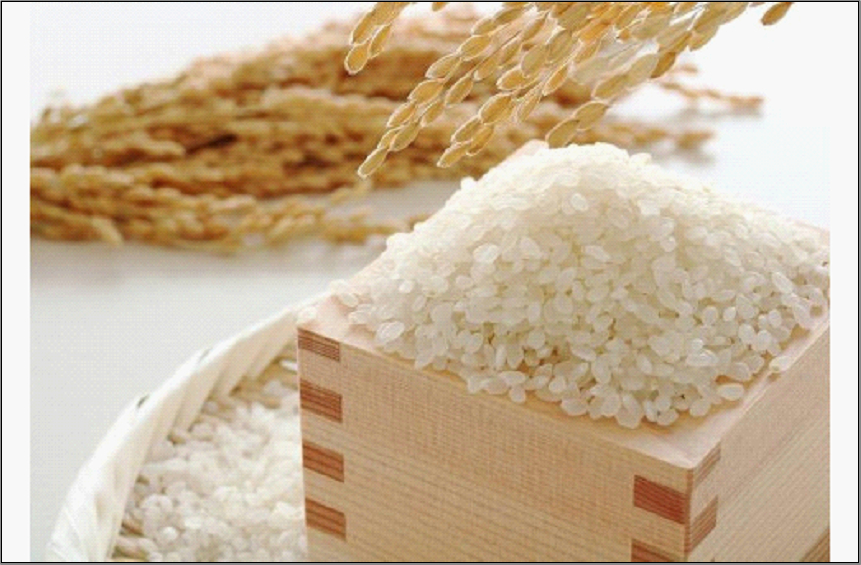 終了福岡県限定のお米 お米食べ比べ(夢つくし5kg・元気つくし5kg)【福岡市】