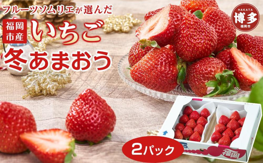 フルーツソムリエが選んだ 福岡市産冬あまおう2パック※一部離島不可