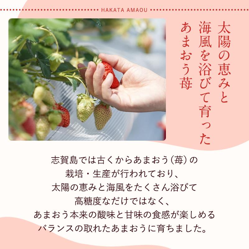 ãã«ãŒããœã ãªãšãéžãã çŠå²¡çç£æ¥ããŸããïŒããã¯â»äžéšé¢å³¶äžå¯ã1ããã¯ããã250gã