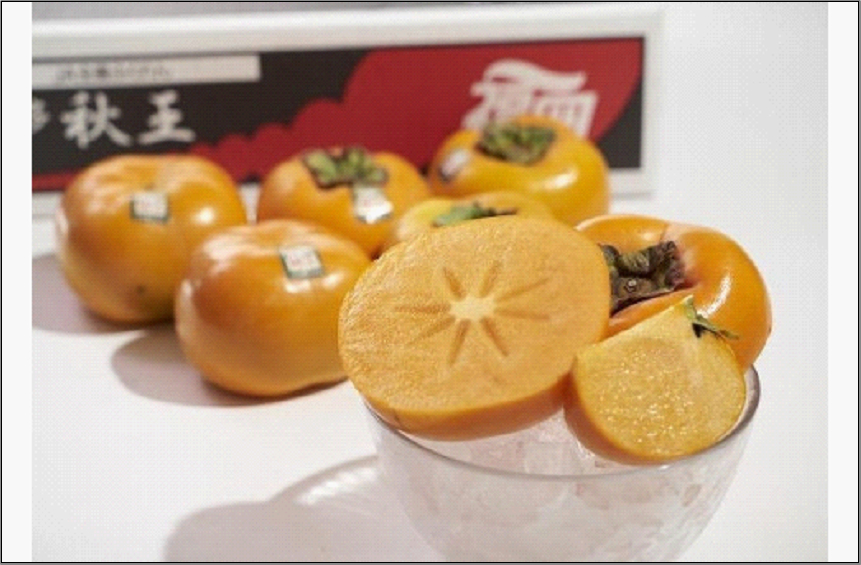 福岡県産限定オリジナル柿・秋王・約1.5kg（福岡市返礼品）※一部離島不可