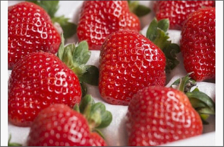 ãã«ãŒããœã ãªãšãéžãã çŠå²¡åžç£ããŸããïŒã®ããç®±(24-30ç²)ïŒâ»2024幎12æäžæ¬ãã2025幎3æäžæ¬ã«ãããŠé 次çºé