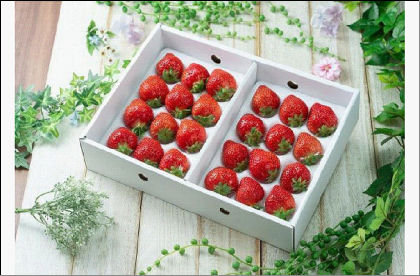 ãã«ãŒããœã ãªãšãéžãã çŠå²¡åžç£ããŸããïŒã®ããç®±(24-30ç²)ïŒâ»2024幎12æäžæ¬ãã2025幎3æäžæ¬ã«ãããŠé 次çºé