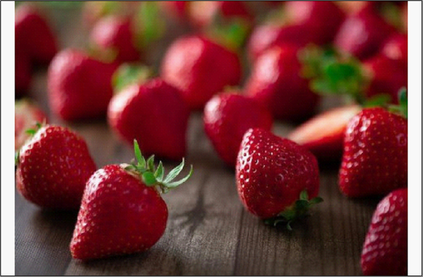 ãã«ãŒããœã ãªãšãéžãã çŠå²¡åžç£ããŸããïŒã®ããç®±(24-30ç²)ïŒâ»2024幎12æäžæ¬ãã2025幎3æäžæ¬ã«ãããŠé 次çºé