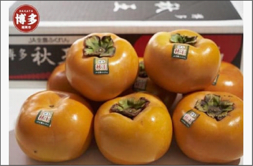 福岡県産限定オリジナル柿・秋王 約3kg(福岡市返礼品)※2024年10月中旬から2024年11月下旬にかけて順次発送