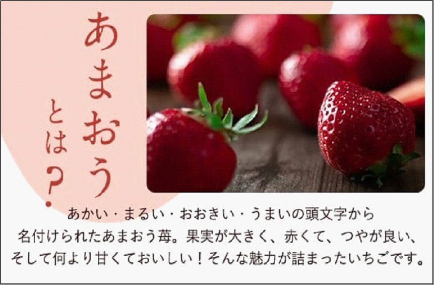 ãã«ãŒããœã ãªãšãéžãã çŠå²¡åžç£æ¥ããŸãã6ããã¯â»2025幎2æäžæ¬ãã2025幎3æäžæ¬ã«ãããŠé 次çºé