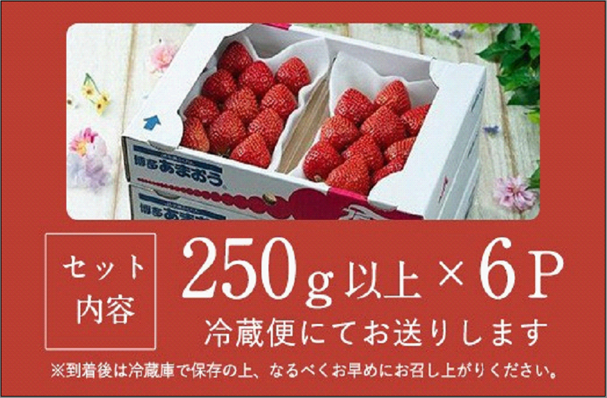 ãã«ãŒããœã ãªãšãéžãã çŠå²¡åžç£æ¥ããŸãã6ããã¯â»2025幎2æäžæ¬ãã2025幎3æäžæ¬ã«ãããŠé 次çºé