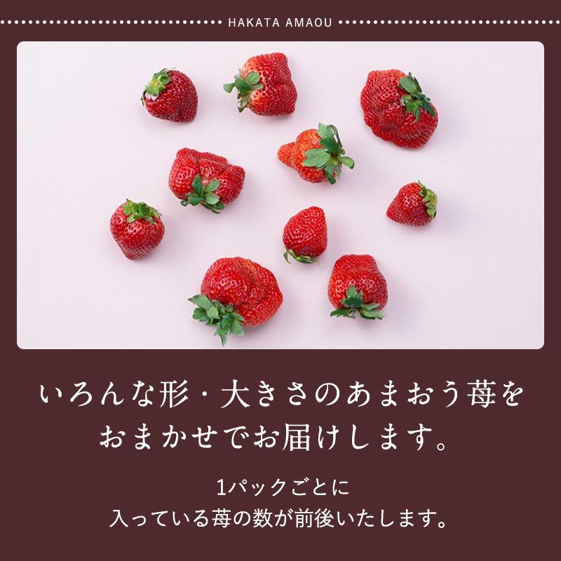 フルーツソムリエが選んだ 福岡県産春あまおう6パック※一部離島不可【1パックあたり250g】
