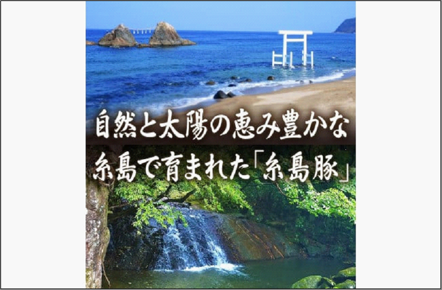 【博多】おぜんや うまか豚まん 12個セット
