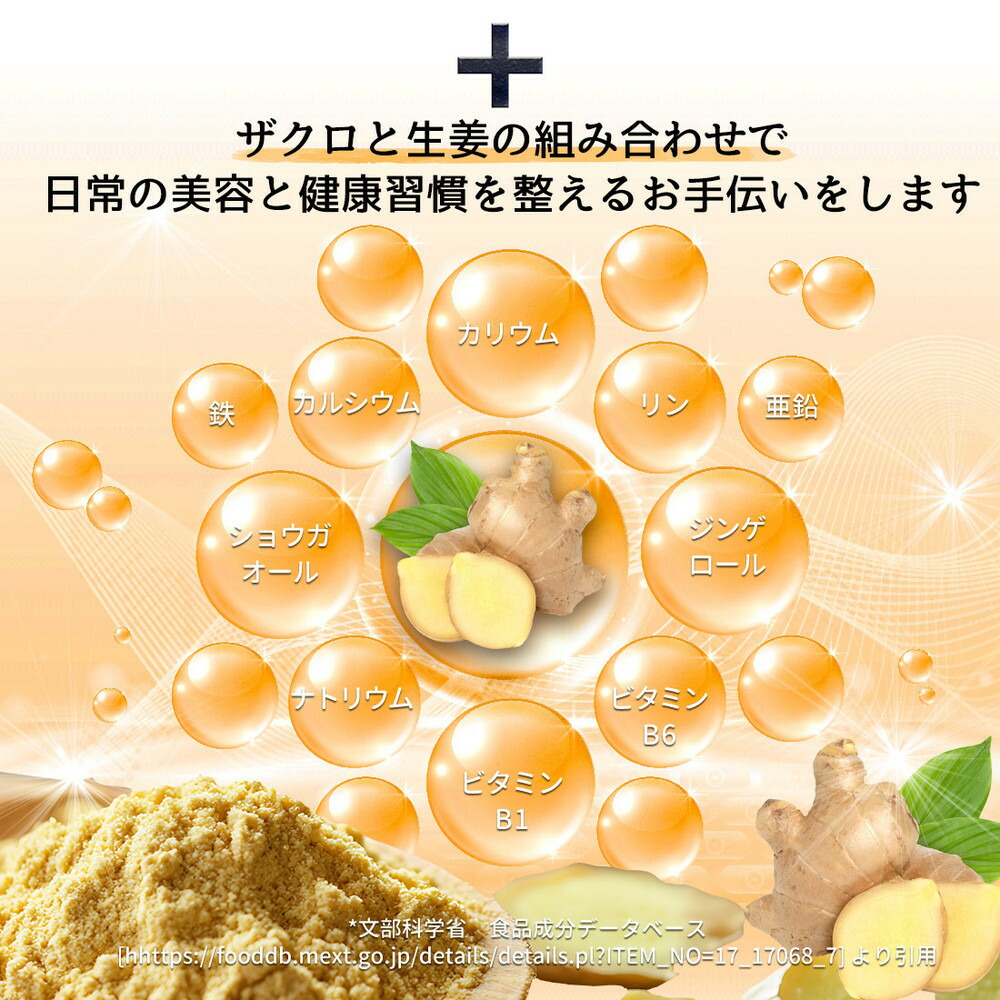 魅惑ザクロ GINGER Boost(福岡市返礼品)【6袋入り】