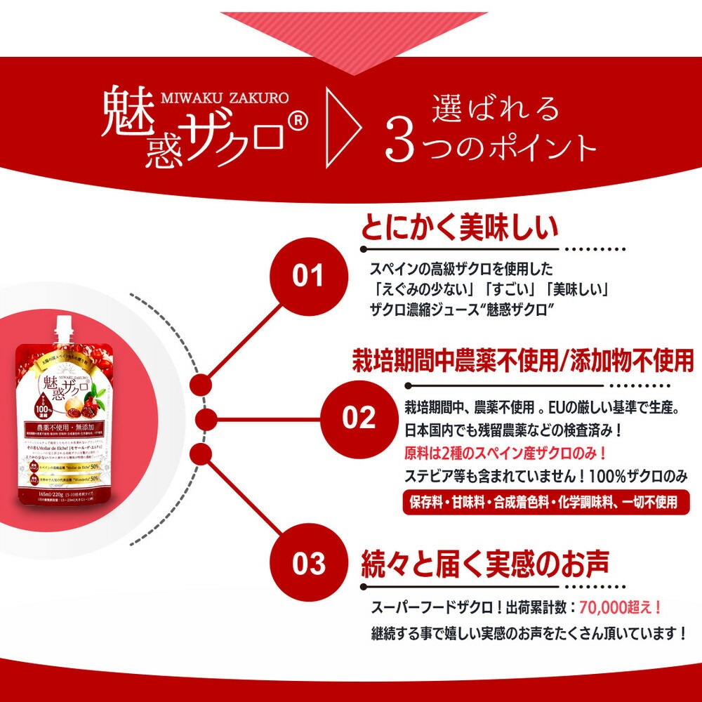 魅惑ザクロ GINGER Boost(福岡市返礼品)【6袋入り】