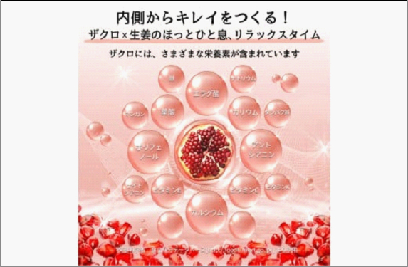 魅惑ザクロ GINGER Boost(福岡市返礼品)【12袋入り】