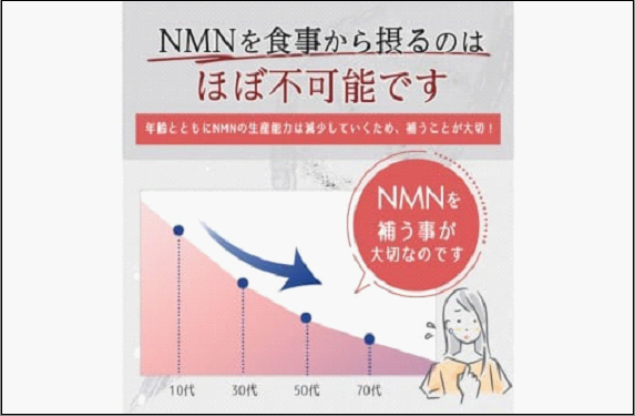 魅惑ザクロ NMN Boost(福岡市返礼品)【4袋入り】