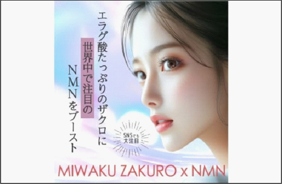 魅惑ザクロ NMN Boost(福岡市返礼品)【4袋入り】