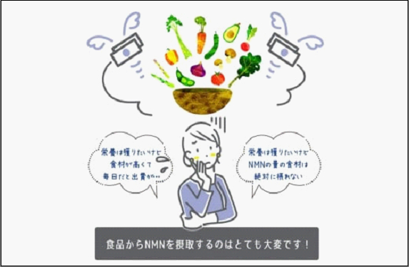 魅惑ザクロ NMN Boost(福岡市返礼品)【6袋入り】