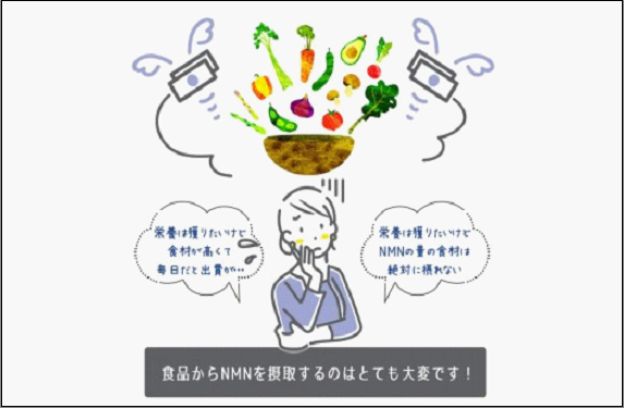 魅惑ザクロ NMN Boost(福岡市返礼品)【8袋入り】