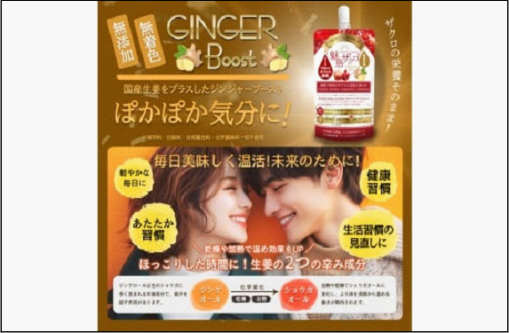 [定期便 3回]魅惑ザクロ GINGER Boost(福岡市返礼品)【4袋入り】