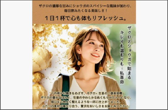 [定期便 3回]魅惑ザクロ GINGER Boost(福岡市返礼品)【4袋入り】