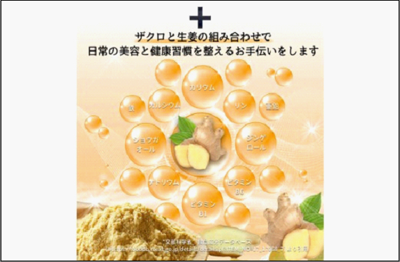 [定期便 3回]魅惑ザクロ GINGER Boost(福岡市返礼品)【4袋入り】