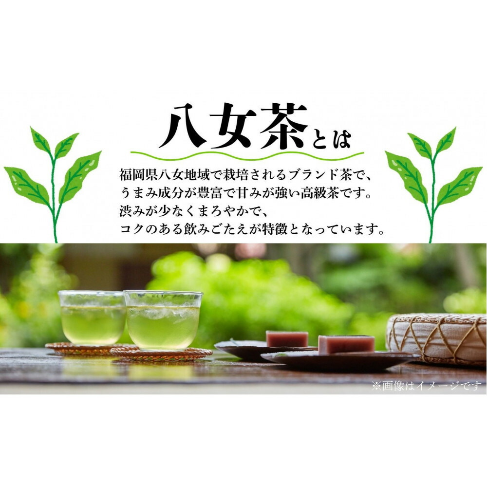 小野園　八女　煎茶（八女茶）綾歌×3パック