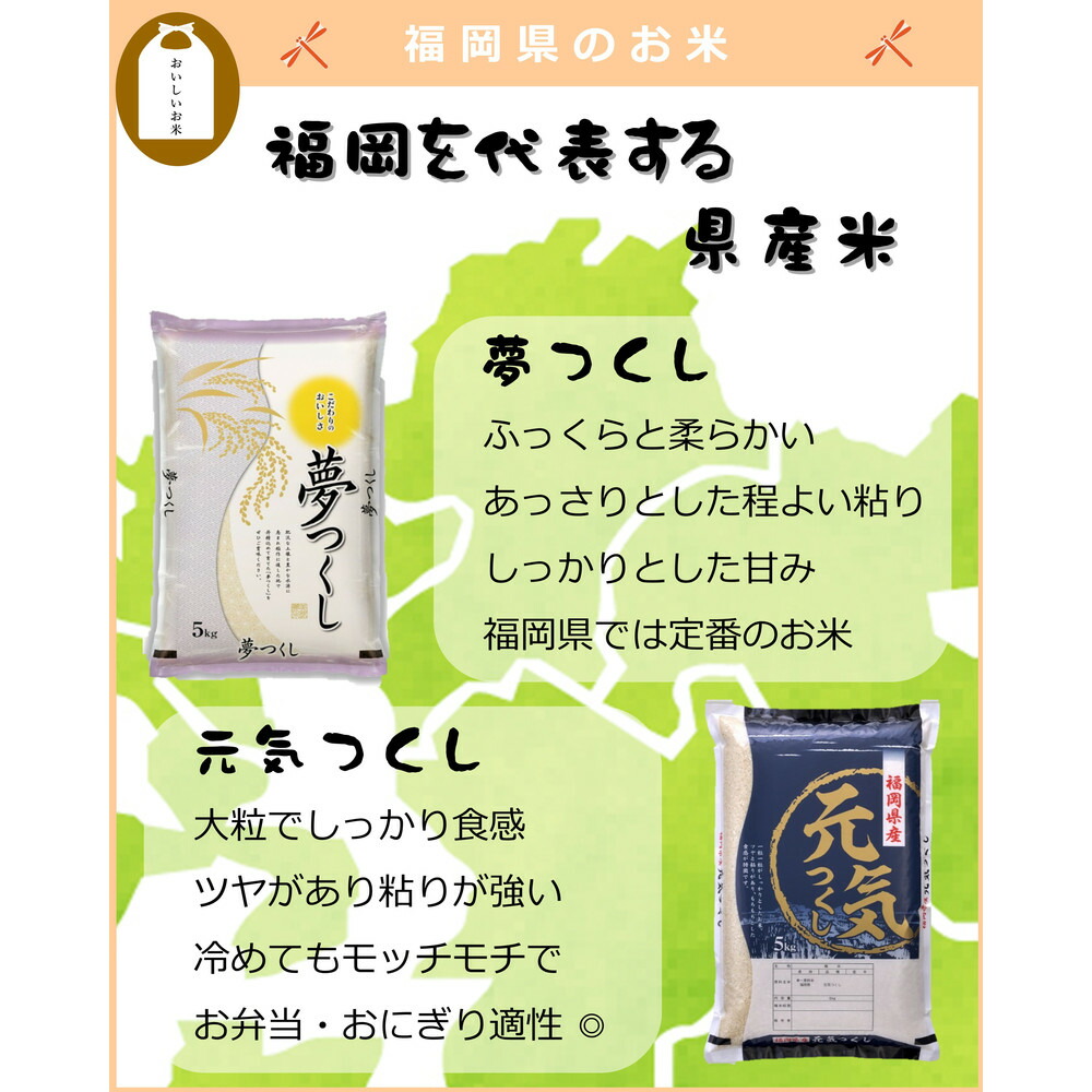 福岡県産 元気つくし 5kg (5kg×1袋) (令和7年産)