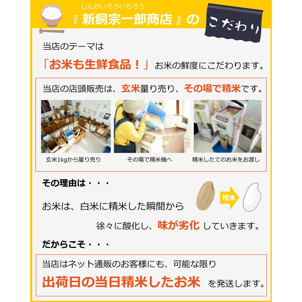 福岡県産 元気つくし 5kg (5kg×1袋) (令和7年産)