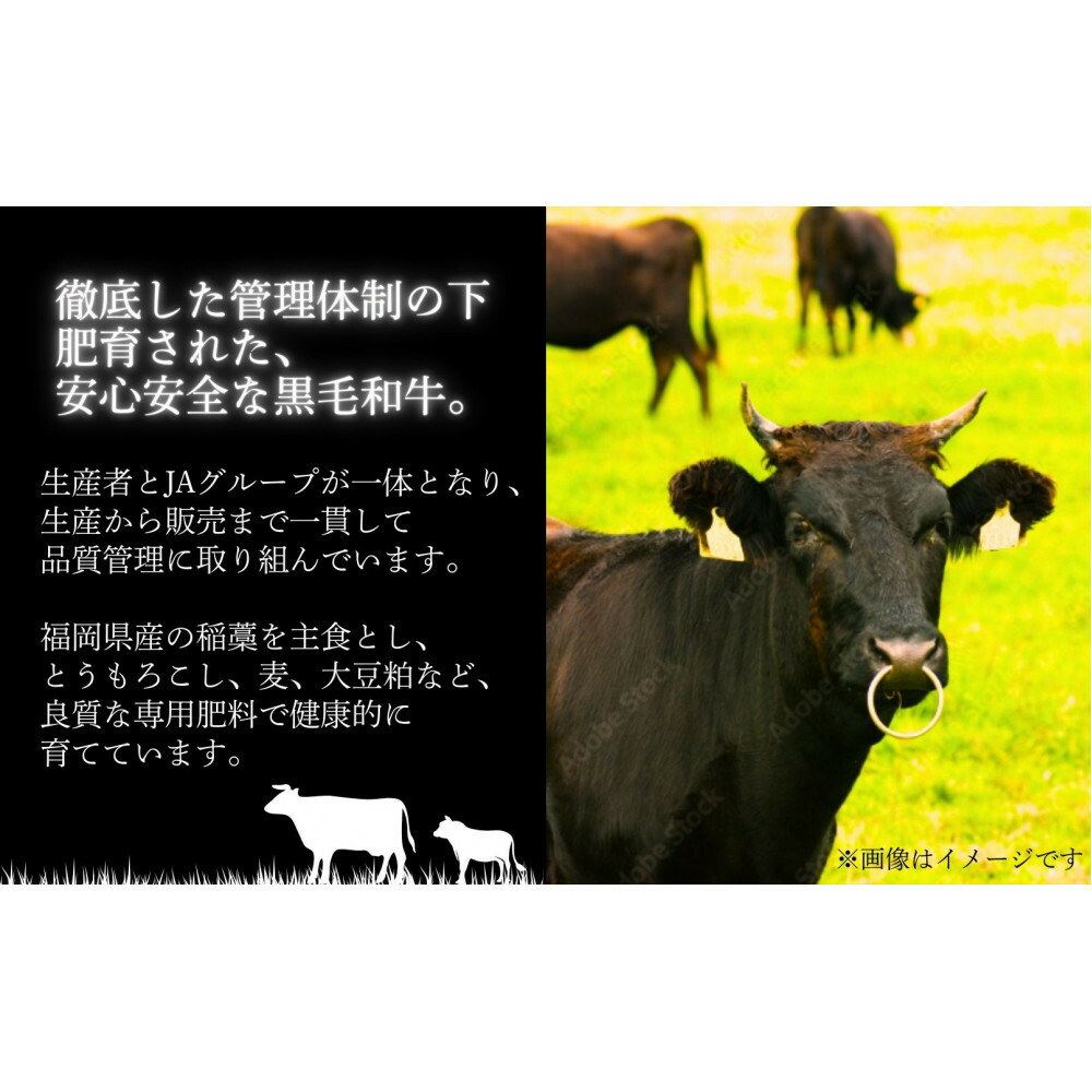 蜊壼、壼柱迚 繝ュ繝シ繧ケ繧ケ繝繝シ繧ュ 400g