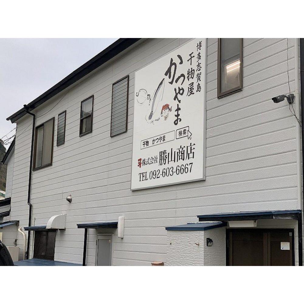 【全12回定期便】昔ながらの製法で作った干物詰合せ 全6種22枚×12回 魚 お魚 さかな 食品 人気 おすすめ 送料無料