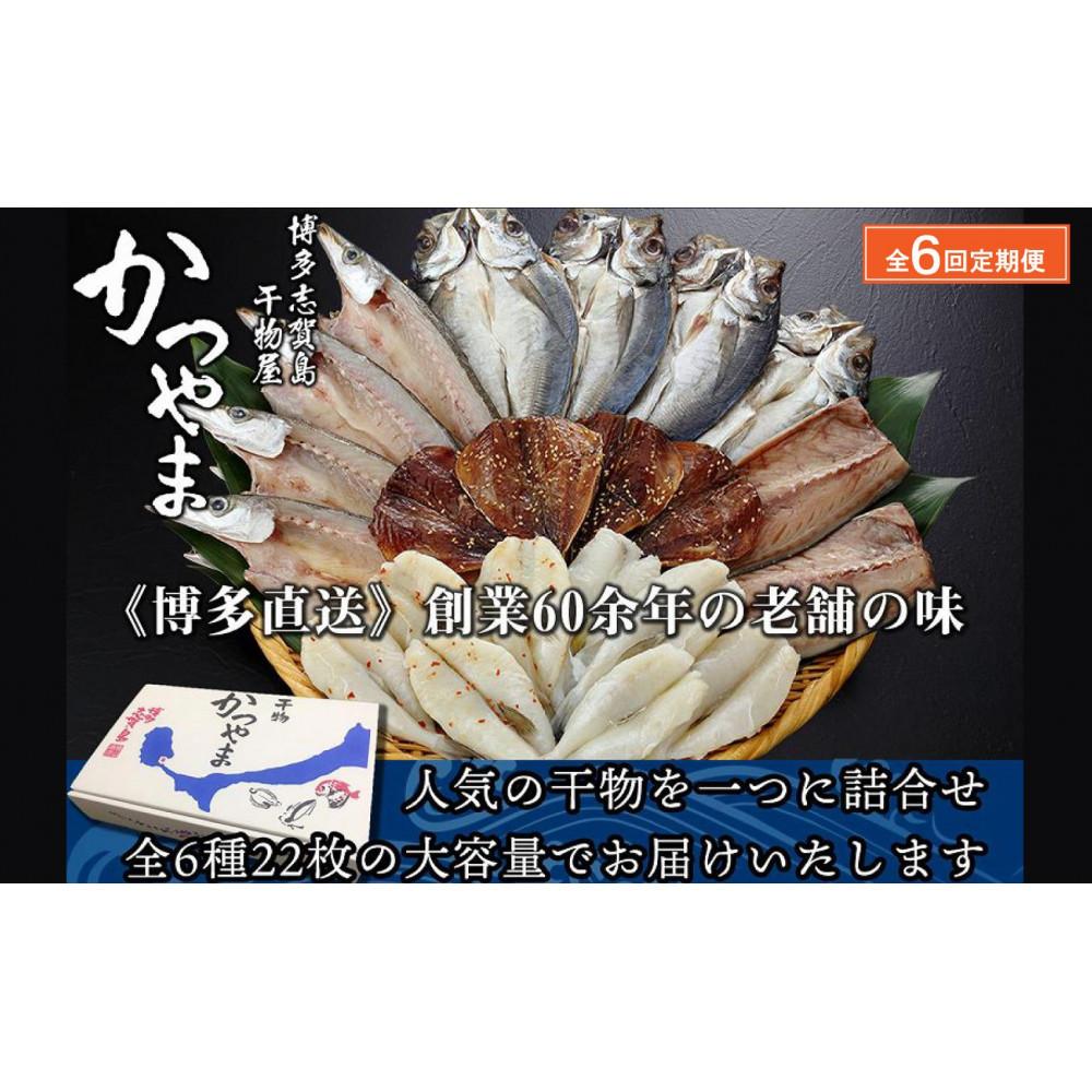 【全6回定期便】昔ながらの製法で作った干物詰合せ 全6種22枚×6回 魚 お魚 さかな 食品 人気 おすすめ 送料無料