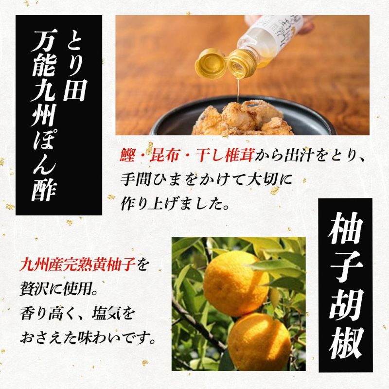 【定期便】水炊き とり田 水たき セット 4人前 全6回 | ふるさと納税 水たき 水炊 みずたき 鍋 福岡市 鶏肉 ポン酢 つみれ 冷凍 人気 ご当地 お土産 スープ付き 便利 おすすめ ランキング お取り寄せ 福岡県 送料無料